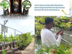 Wujudkan Inovasi Hijau Berkelanjutan, PLN UIP JBTB Sabet Penghargaan Platinum di Indonesia Green Awards 2026