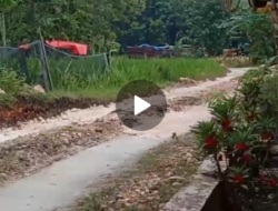 Galian C Ilegal di Wilayah Kecamatan Kasiman, Disorot Publik terkait Pentingnya Perizinan Sah